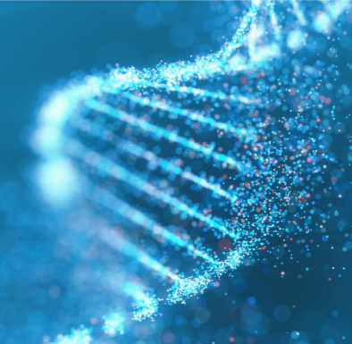 37d4a21f-de04-47b5-abdf-9c141f4d4639